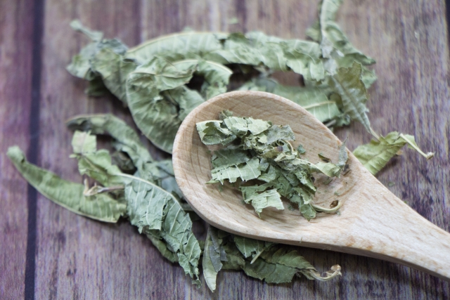 ドライレモンバーベナ