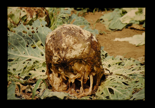 重症化した状態