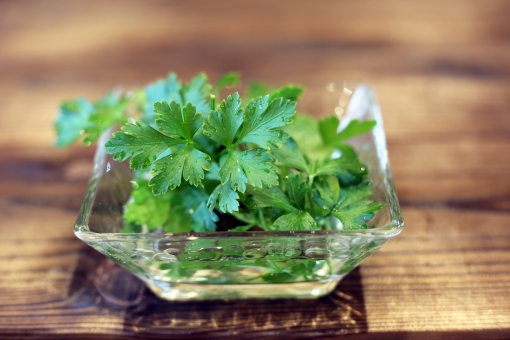 イタリアンパセリ（収穫後）