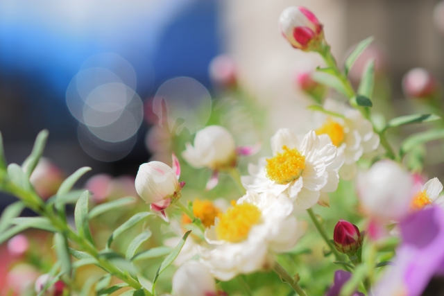 花かんざし