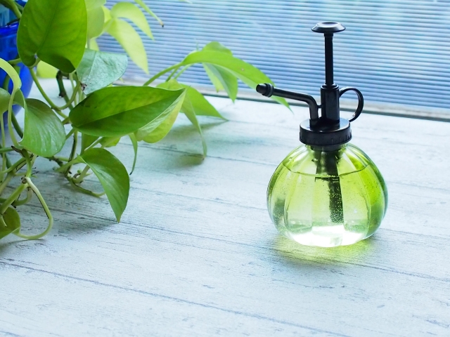 葉面散布（イメージ）