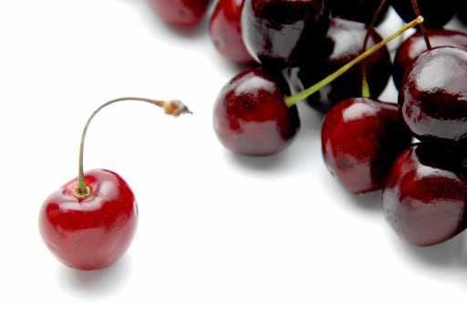 サクランボ（アメリカンチェリー）