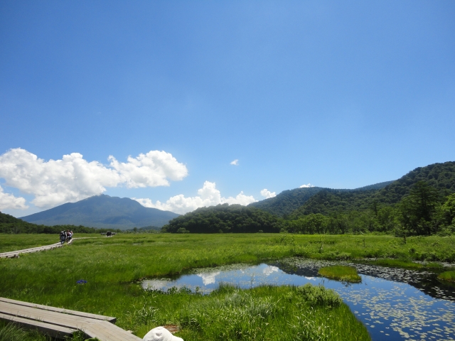 水芭蕉で有名な尾瀬ヶ原（群馬県）