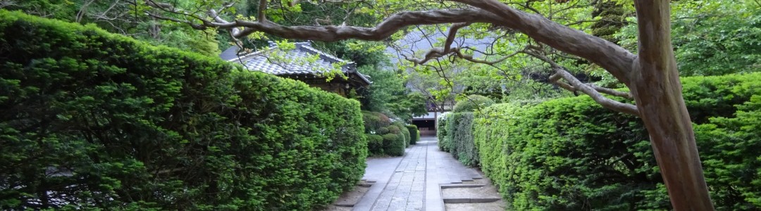 庭木・生垣の画像