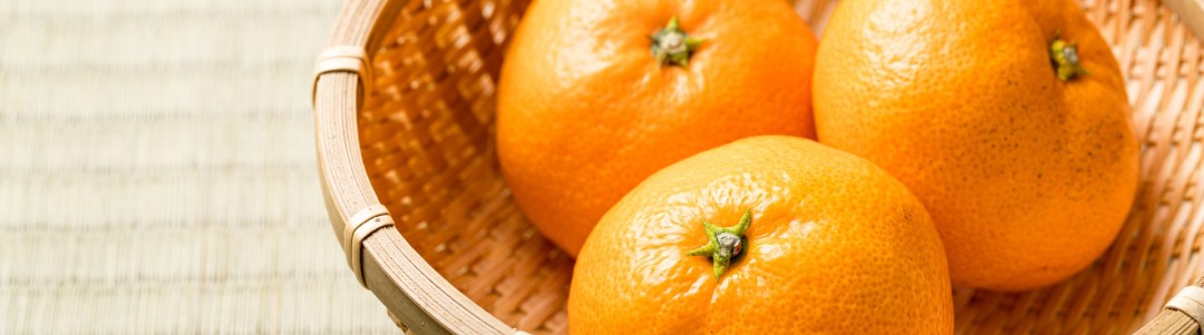 みかんのイメージ