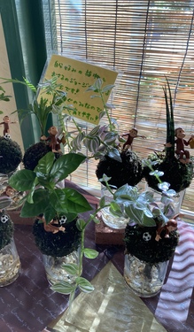 涼しそう〜