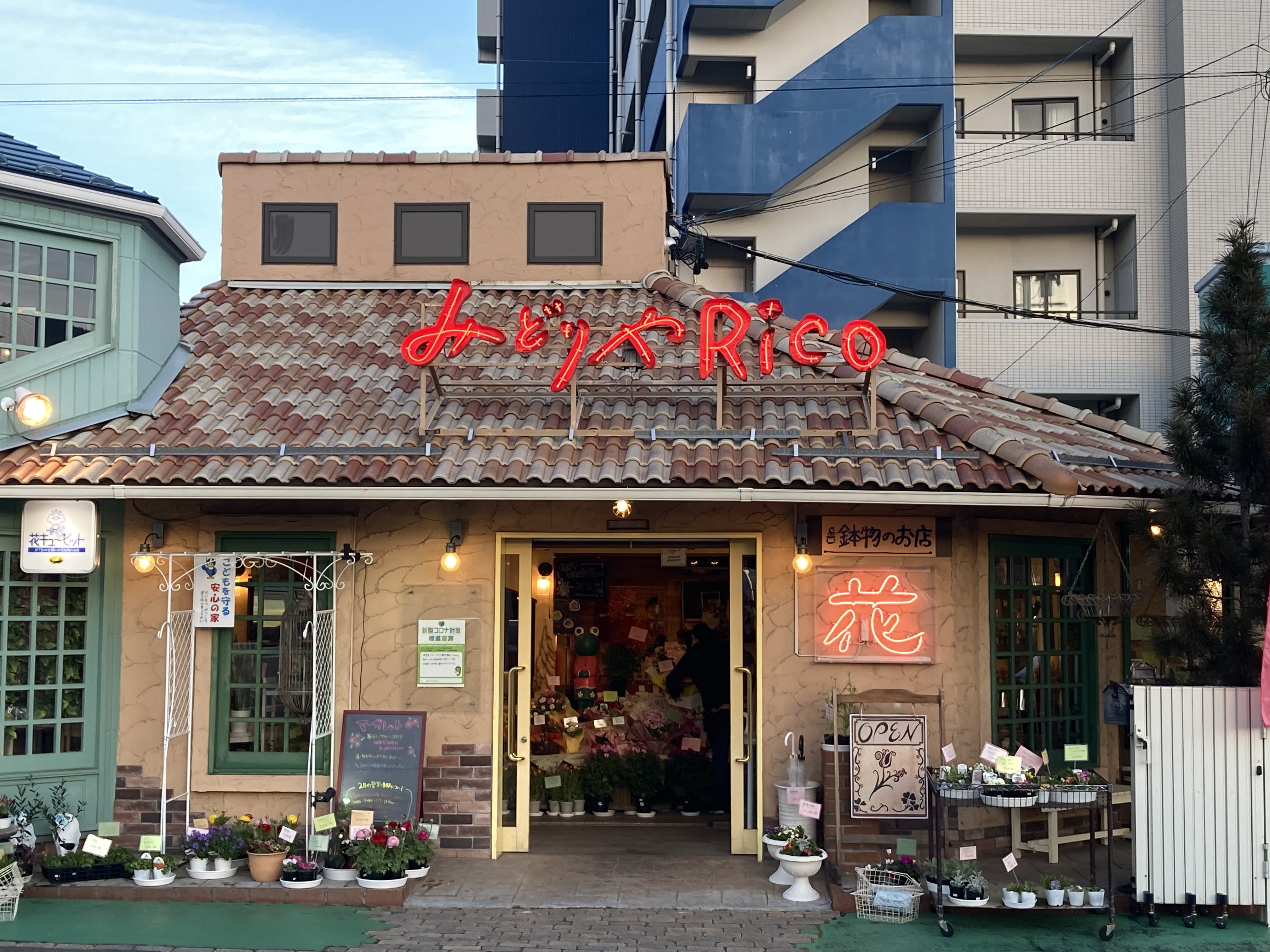 みどりやrico