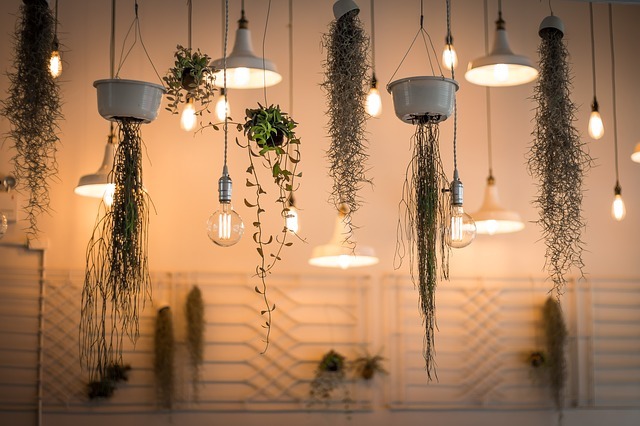 観葉植物のレイアウト例14選!部屋で真似したくなるおしゃれな置き方とは?のイメージ
