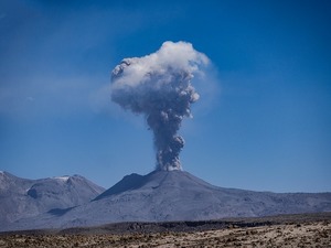 鹿沼土とは？その性質と赤玉土との違いを解説！相性の良い観葉植物は？