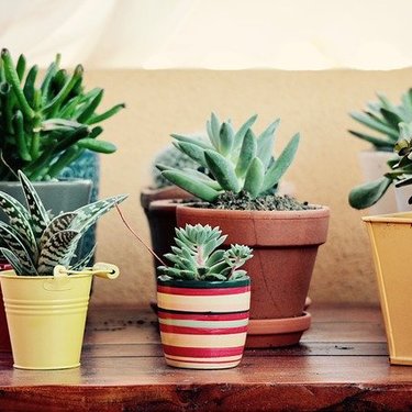 おしゃれな植木鉢おすすめ10選！安くて通販でも買える人気商品はコレ