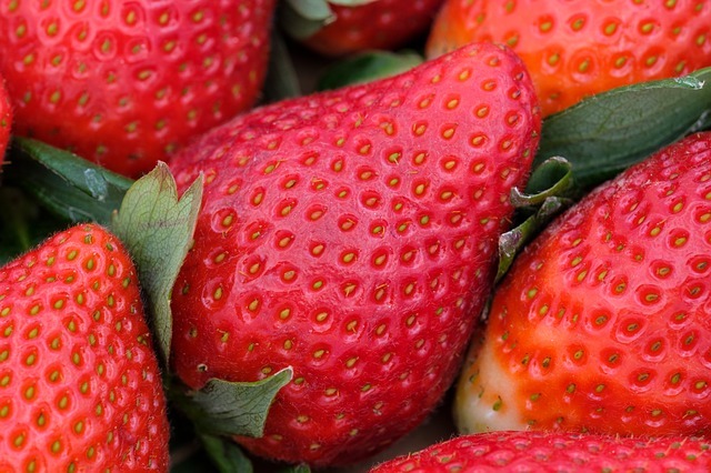 イチゴの水耕栽培!家庭で種から収穫まで育てるコツは何?注意点も紹介!のイメージ