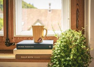 LEDライトで観葉植物を育てる方法は？その効果や栽培のコツを紹介！