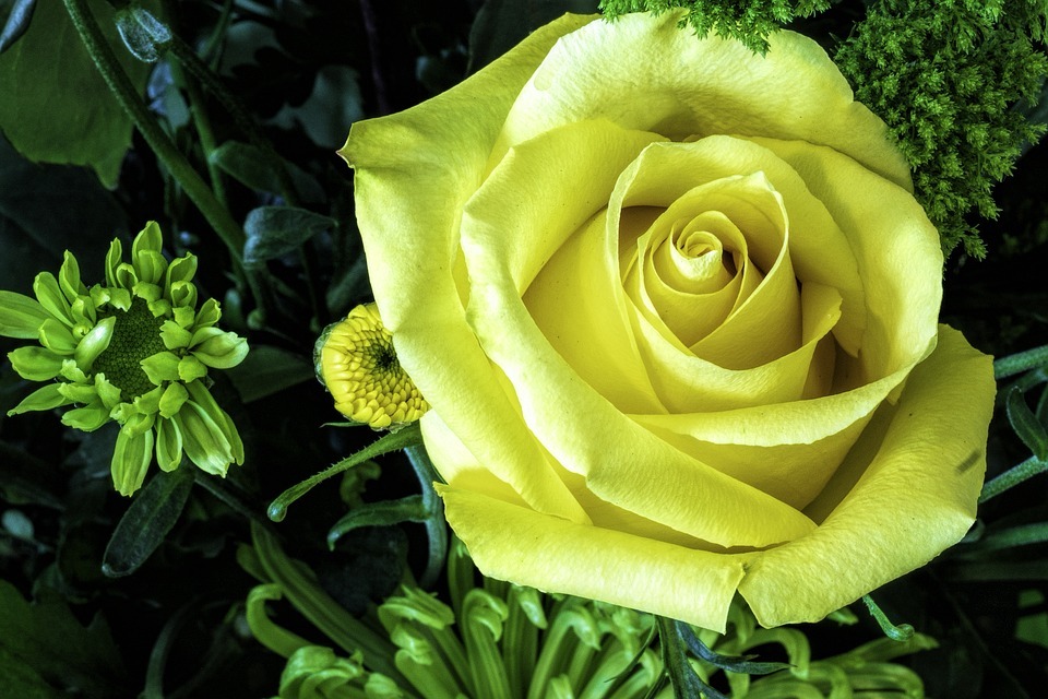 緑の花は珍しい?グリーン系の花の品種と、アレンジ方法を一挙ご紹介!