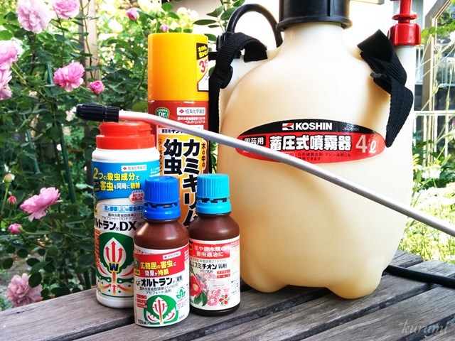 バラや観葉植物に使える殺虫剤まとめ!害虫駆除におすすめなものは?のイメージ