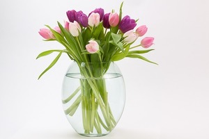 チューリップの花束を作る方法！ギフト用におしゃれなアレンジ術もご紹介！