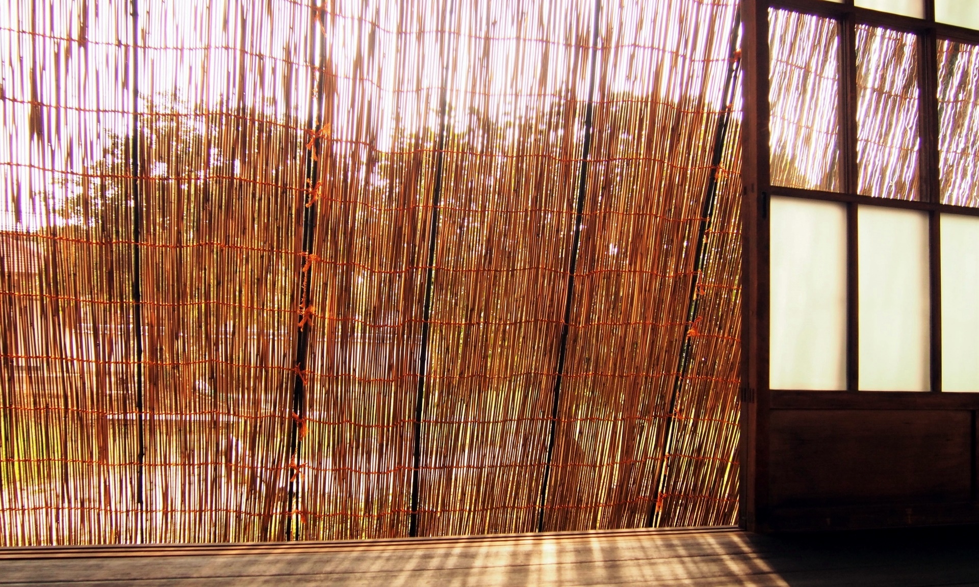 葦簀(よしず)とは?素材のヨシはどんな植物?簾(すだれ)とは違う?