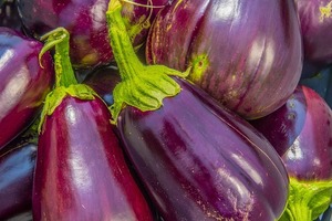 なすの種って食べられる？時間が経つと黒や茶色に変色するのはなぜ？