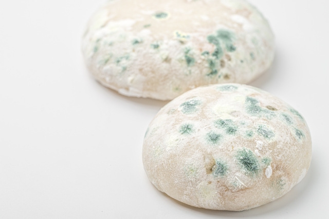 カビを食べるとどうなる?誤って食べてしまったときの症状と対処法まとめ!