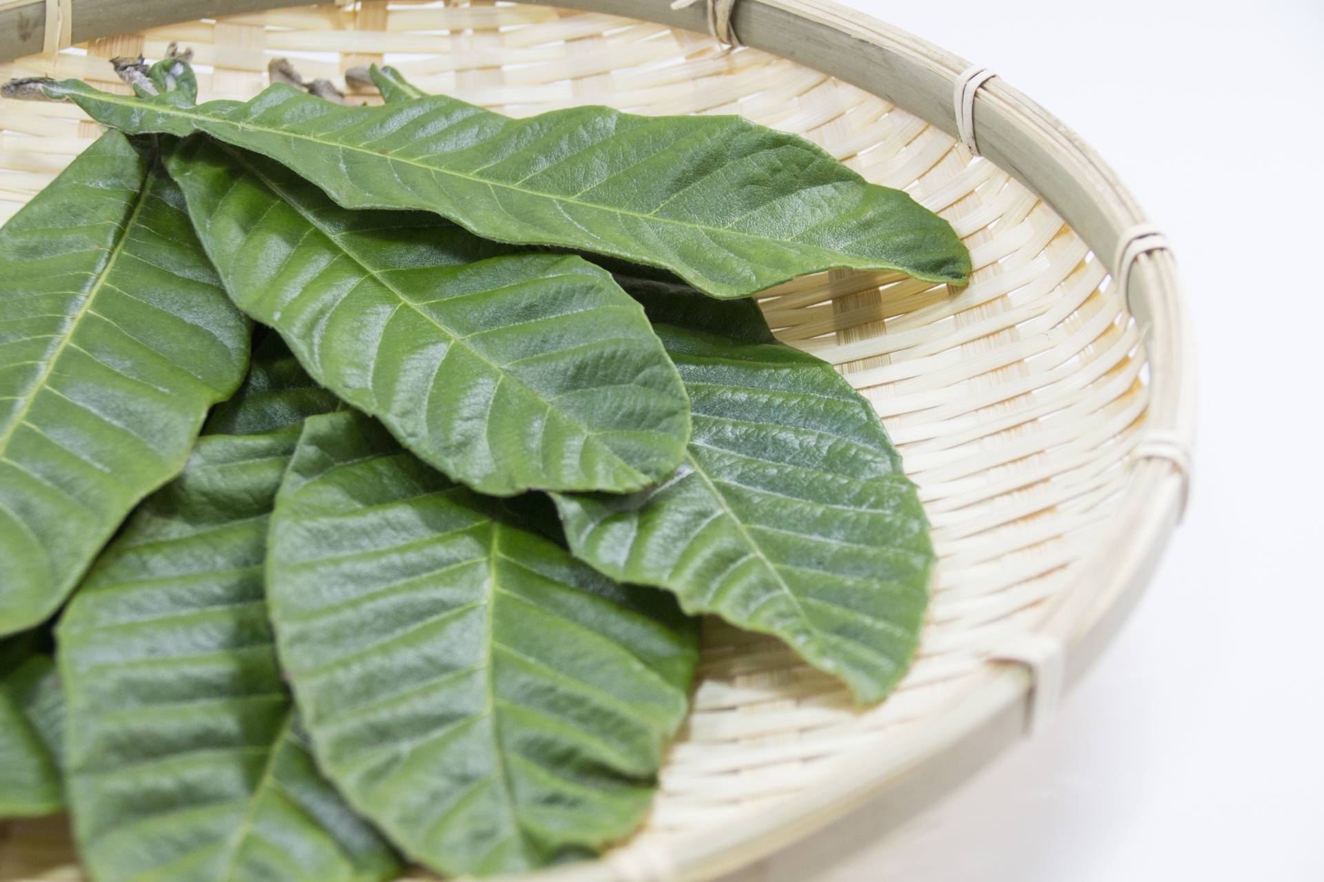 びわの葉エキスの活用方法を7つご紹介！湿布や化粧水としても効果あり？