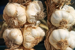 にんにくの栄養や成分とは？風邪の予防や、早く治す効果などはあるの？