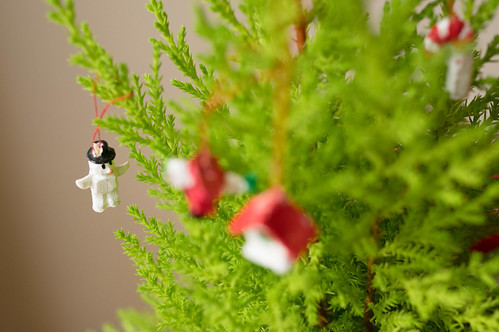 ゴールドクレストの剪定方法を解説!適切な時期や枝・葉の選び方とは?