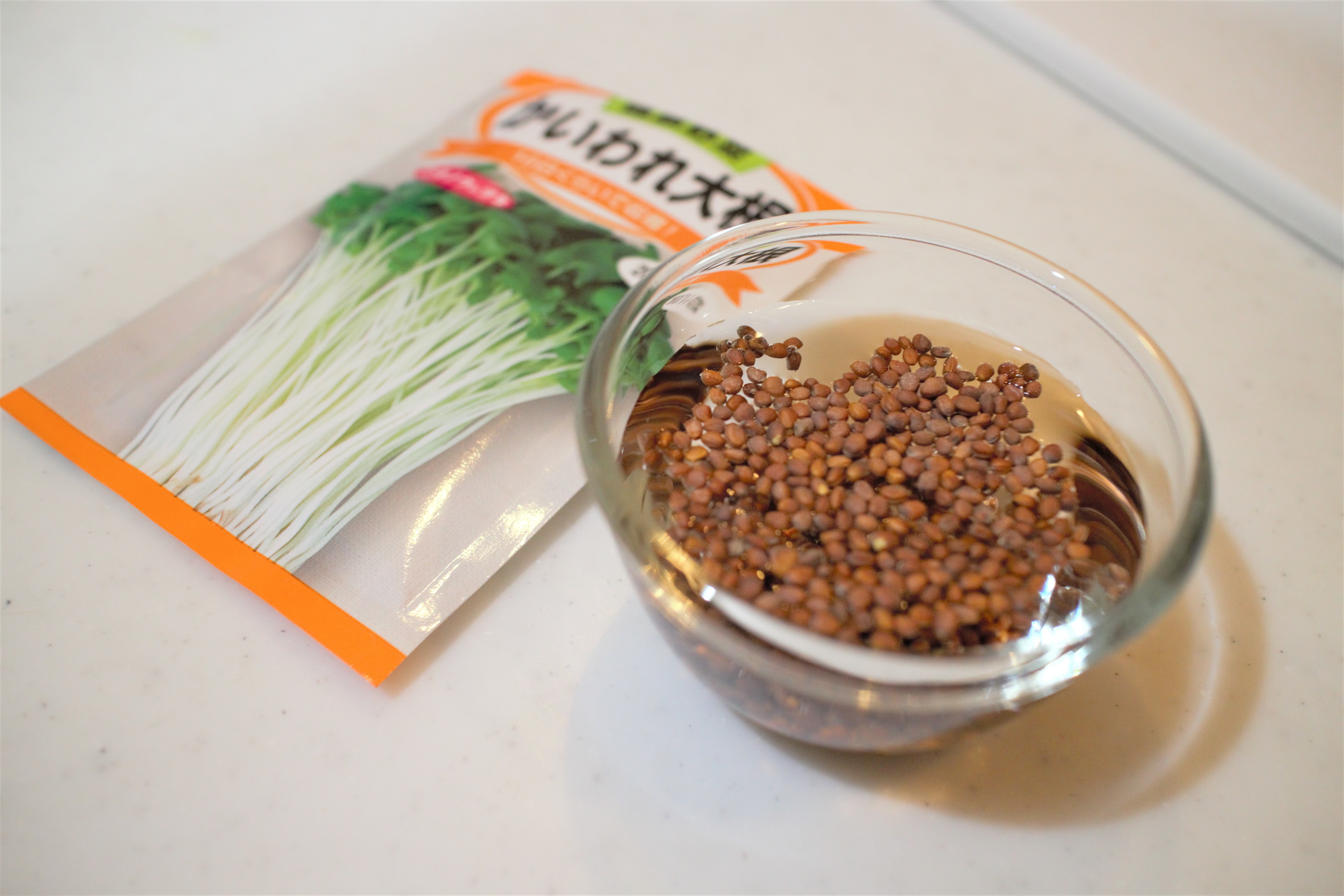 かいわれ大根の育て方!種からの発芽から収穫するまでのポイントは?のイメージ