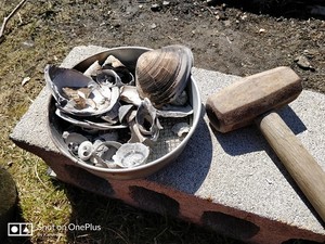 有機石灰とは？肥料としての成分・効果・使い方をわかりやすく解説！
