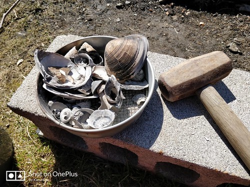 有機石灰とは？肥料としての成分・効果・使い方をわかりやすく解説！のイメージ