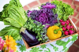 育てやすい！作りやすい野菜TOP10選！初心者でも栽培しやすい野菜は？