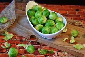 芽キャベツ（メキャベツ）の育て方！葉かきなどの栽培ポイントをご紹介！