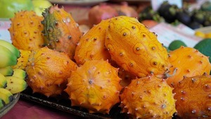 キワーノの育て方！土作り・苗植えから収穫までのポイントをご紹介！