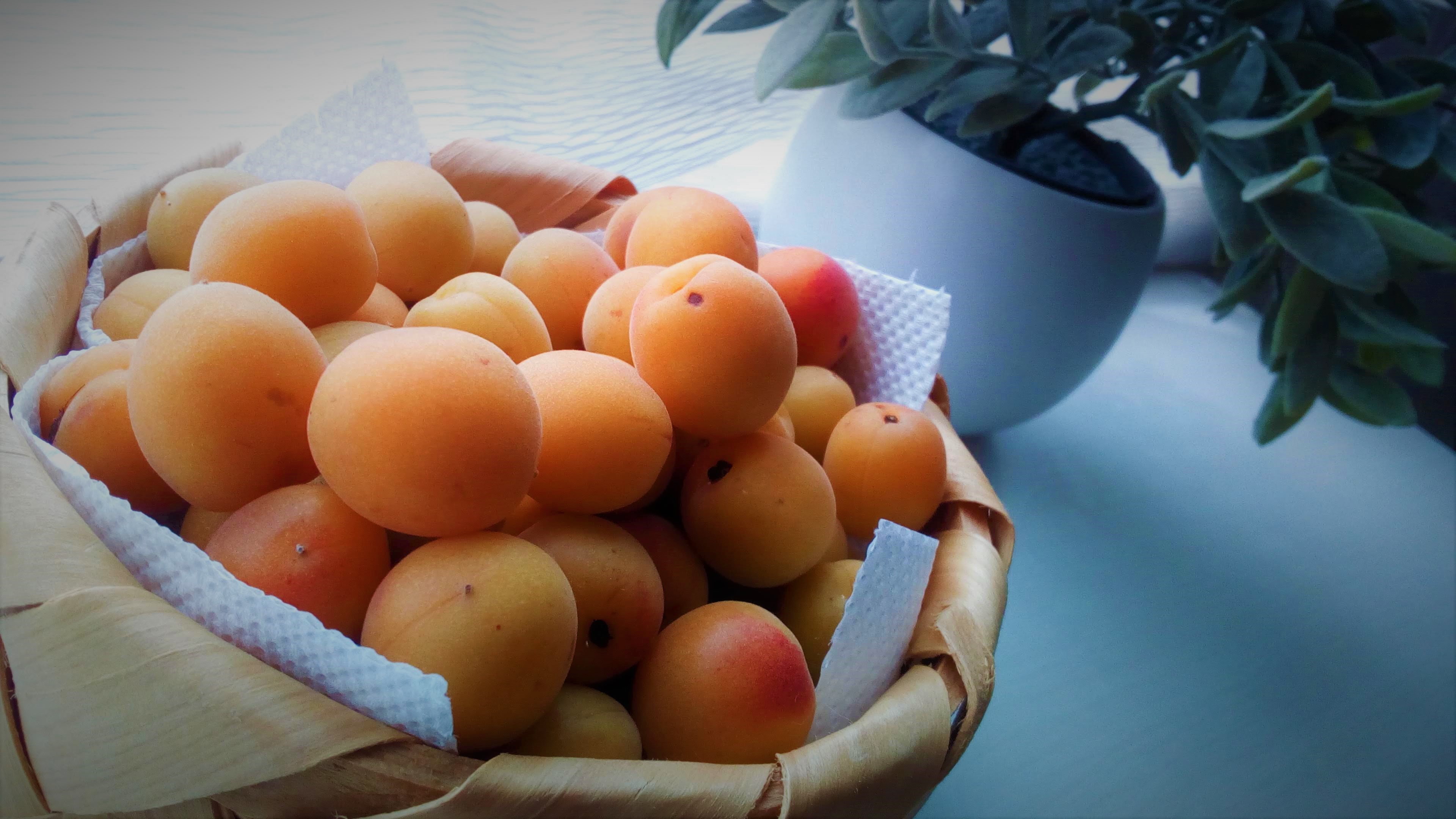 完熟小梅の漬け方やレシピを紹介！完熟梅で梅酒や梅シロップを作ろう！