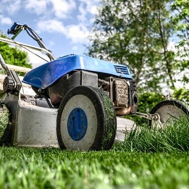 除草に「塩」がおすすめできない理由は？塩水の除草効果と併せてご紹介！