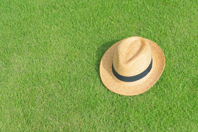 天然芝とは?人工芝とはどう違う?張り方や耐用年数はどれくらい?