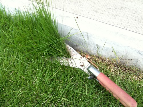 芝生の除草剤の使い方!芝生を枯らさずに上手に雑草防除する方法とは?のイメージ