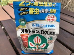 オルトランDXってどんな農薬？使い方や効果の持続期間などをご紹介！