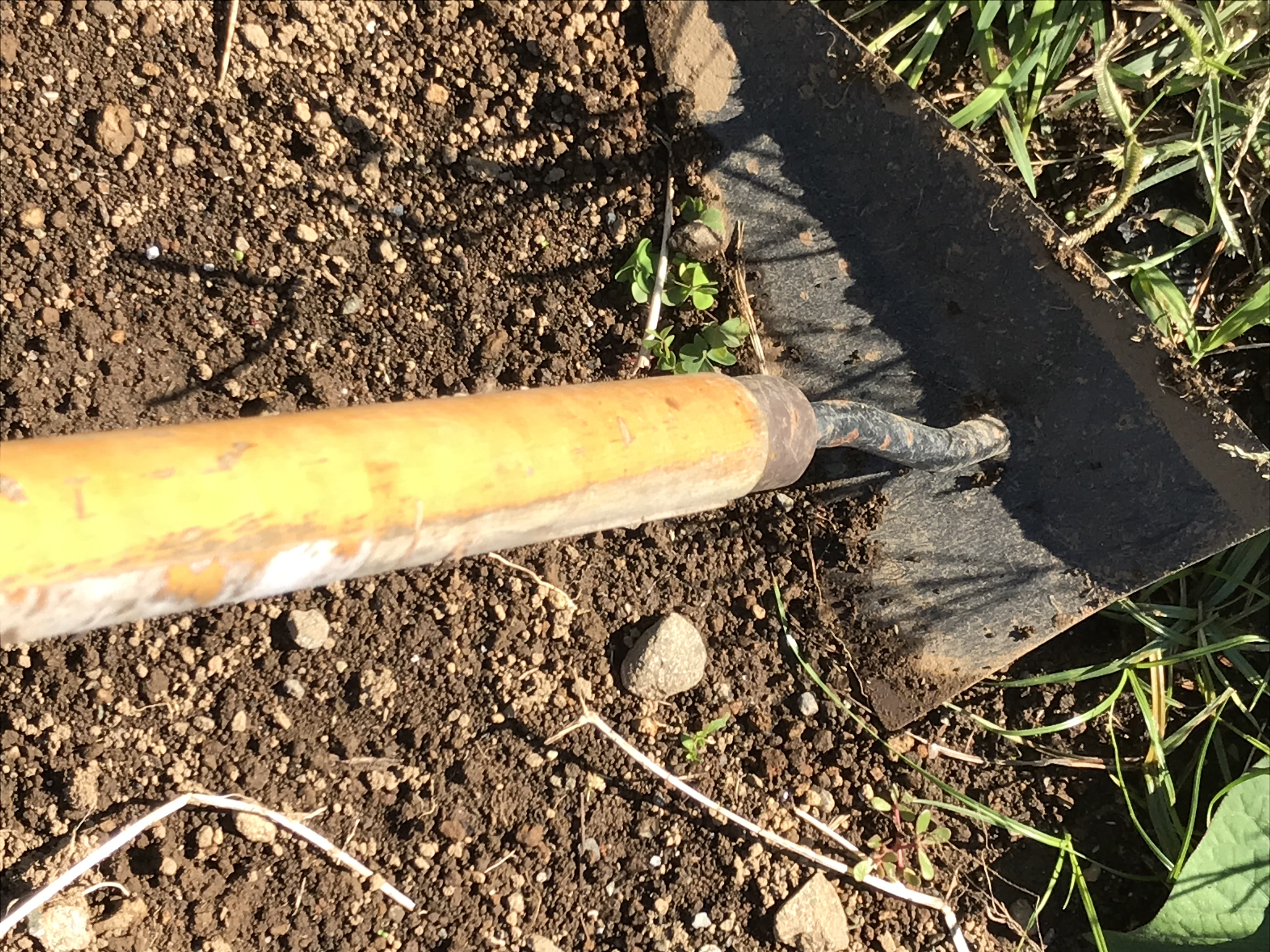 三角ホーとは?除草用農具としての用途・メリットや使い方をご紹介!のイメージ