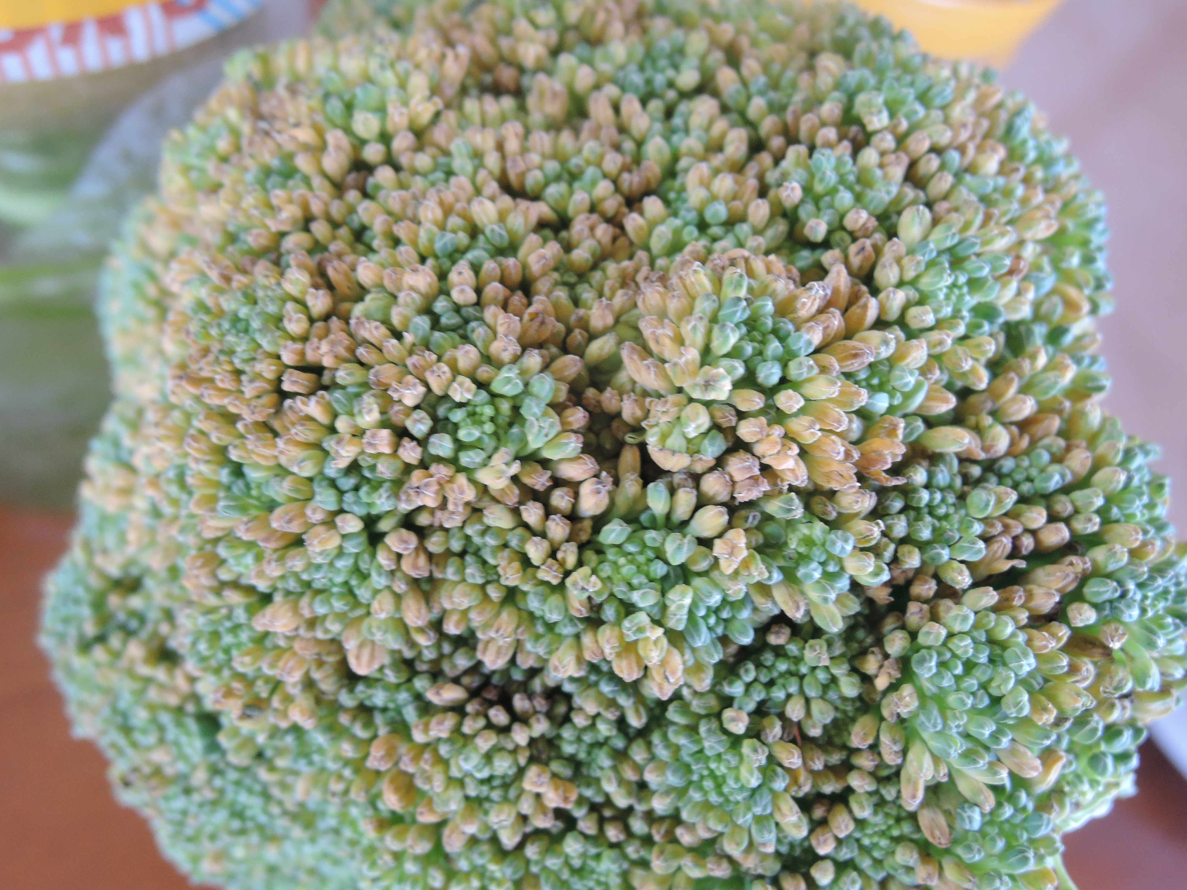 ブロッコリーの花は食べてOK？黄色に変色した時の注意点や食べ方をご紹介！のイメージ