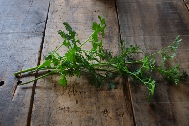 カメムシ草とは?名前の由来や匂いをご紹介!パクチーとの関係は?のイメージ