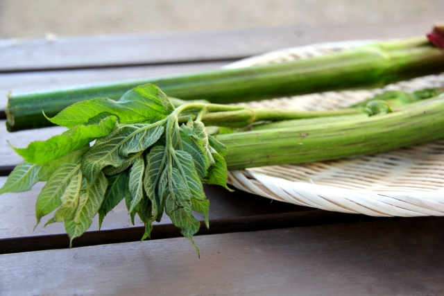 山うど（山独活）とは？山菜としての特徴や美味しい食べ方をご紹介！のイメージ