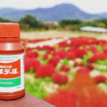 メネデールの特長と使い方！発根促進剤としての効果を詳しく解説！