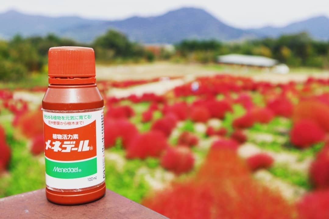 メネデールの特長と使い方!発根促進剤としての効果を詳しく解説!のイメージ