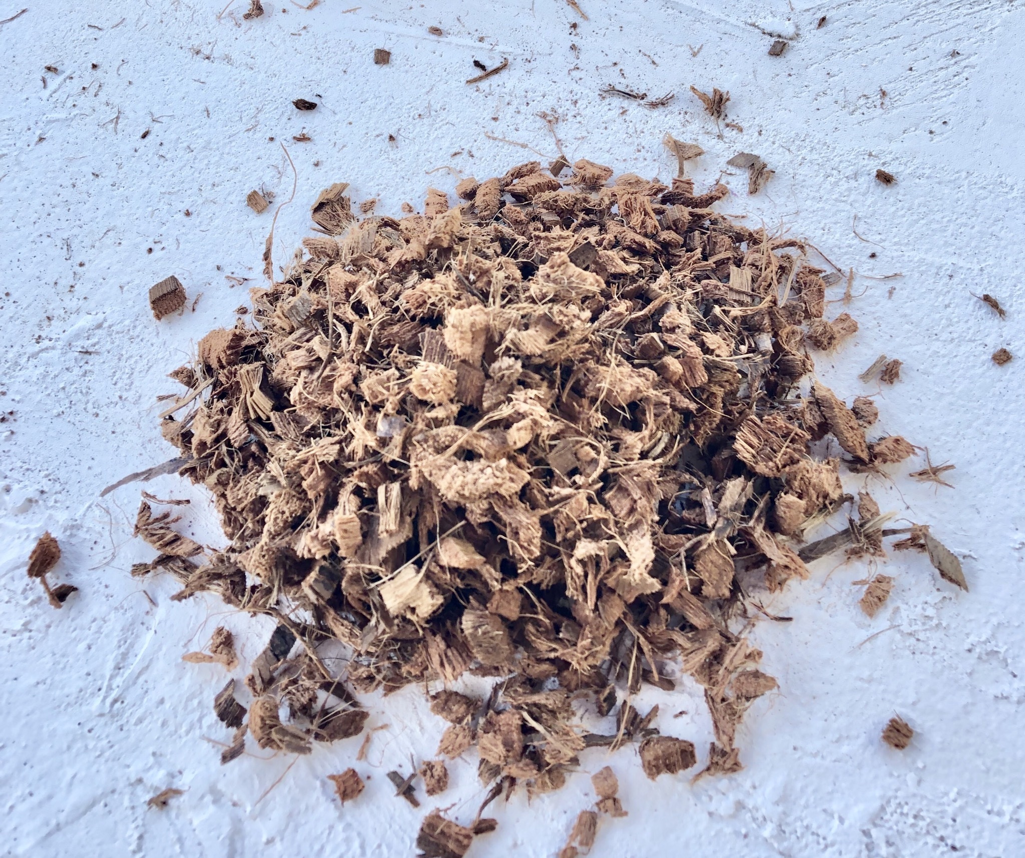 ベラボンとはどんな土壌改良材?その種類・効果・使い方を詳しく解説!