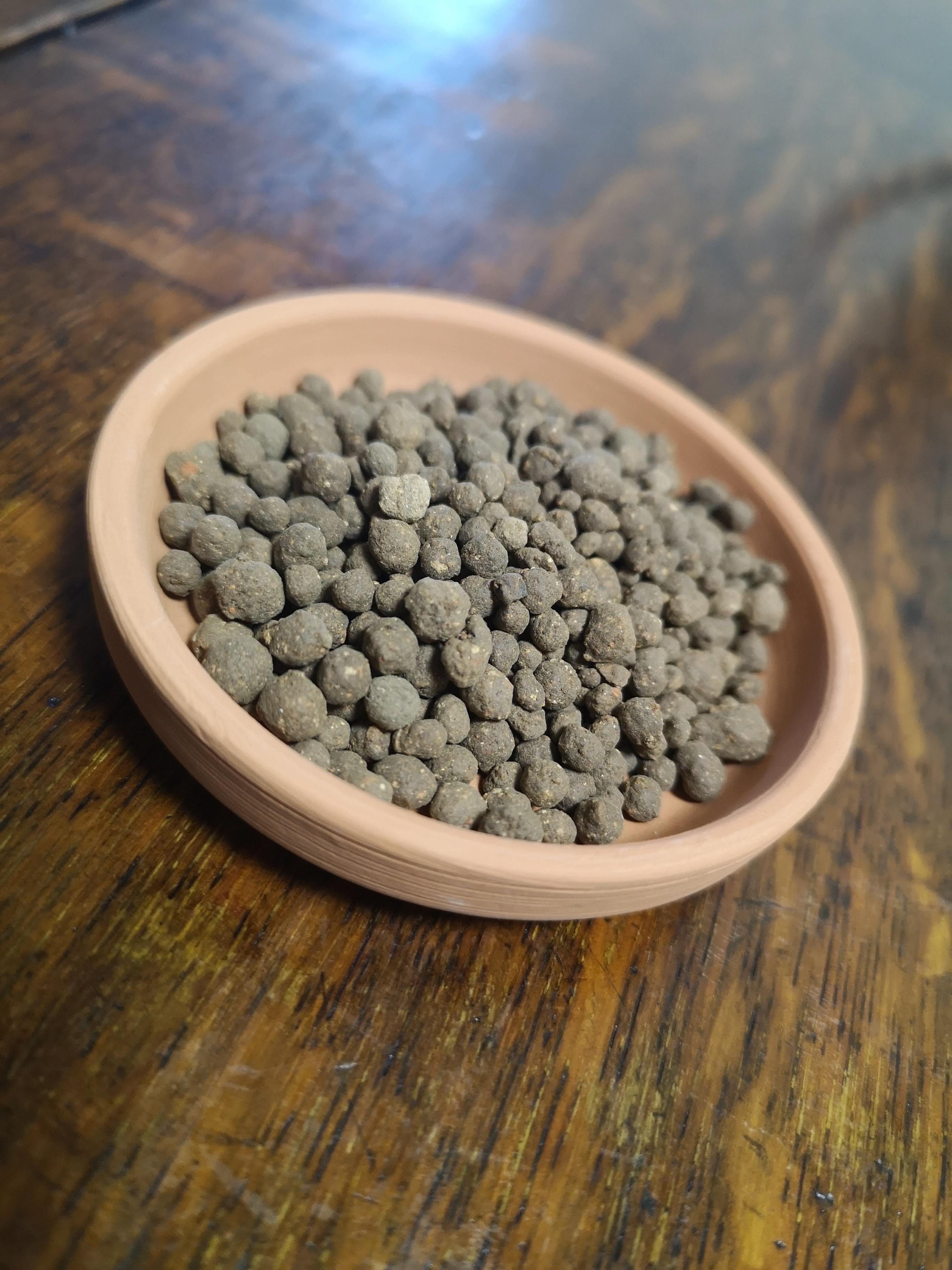 バットグアノとはどんな肥料か?効果や適切な使用方法を詳しくご紹介!