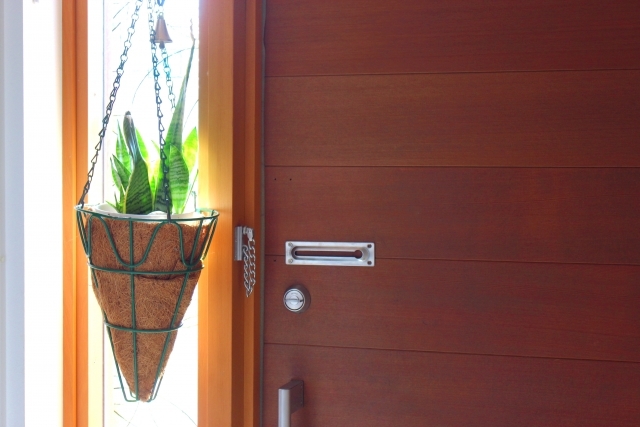 サンスベリアのレア物43種！普段あまり見かけない珍しい種類をご紹介！のイメージ