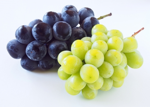 ブドウやマスカットの房で一番甘い部分はどこ？理由を含めて解説！