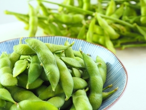 枝豆を水耕栽培で上手に育てる方法！発芽で失敗しないコツは？