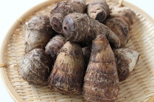 サトイモ（里芋）の育て方！種芋の植え方から肥料や収穫のコツまでご紹介！