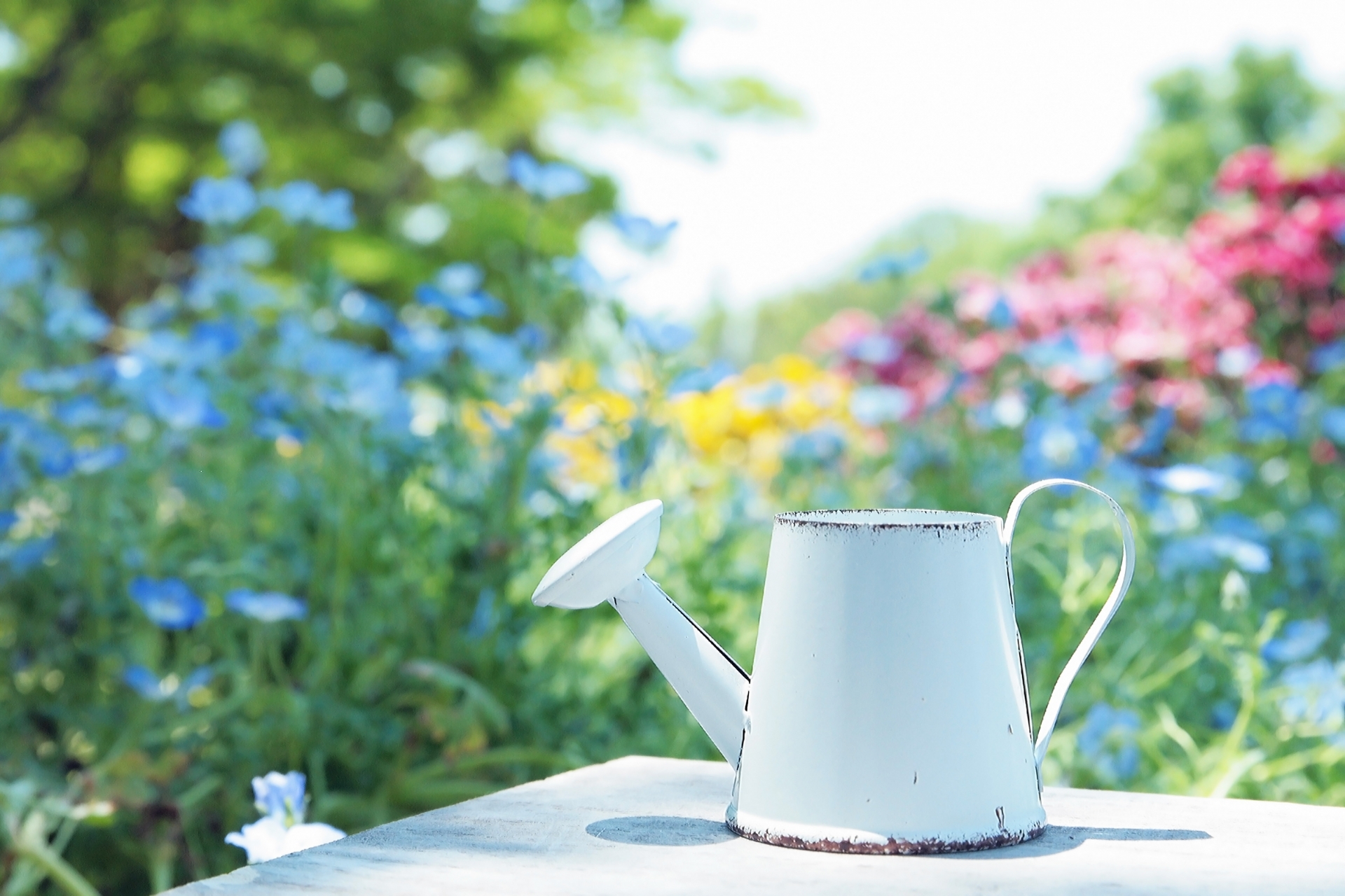 自動水やり機のオススメ9選!ガーデナーに人気の散水タイマーなどご紹介!