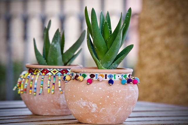 簡易温室・ミニ温室のおすすめ12選!おしゃれで人気な小型温室はどれ?